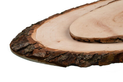 Grand Rondin de Bois Gravé – Image 4