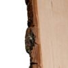 Planche à découper en bois naturel – Image 3