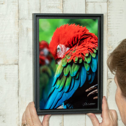 Chromaluxe Alu – Image 4