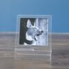 MAPHOTOSURBOIS - gravure photo sur bois-9